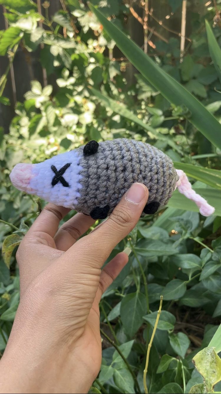 Possum