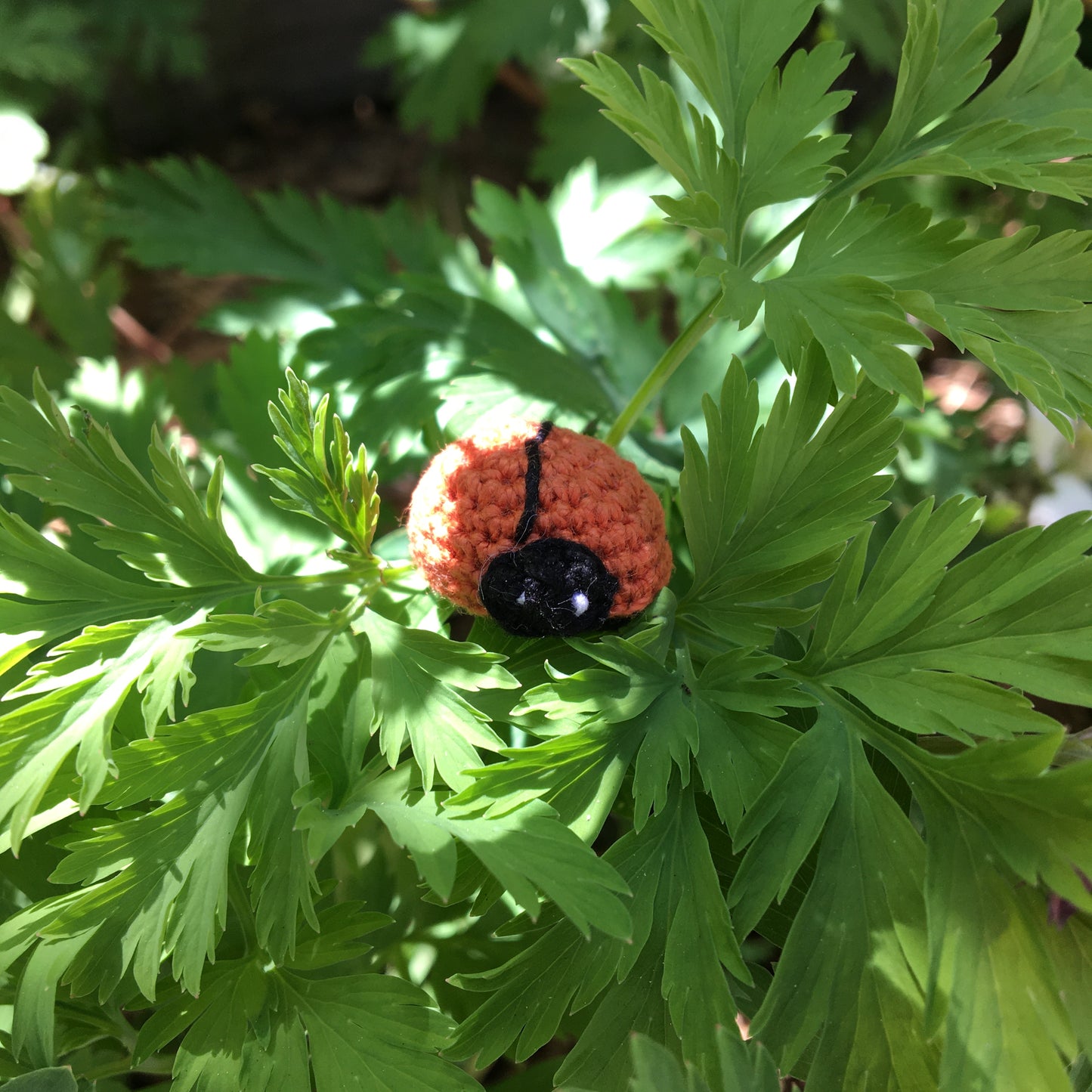 MicroCrochet Ladybugs