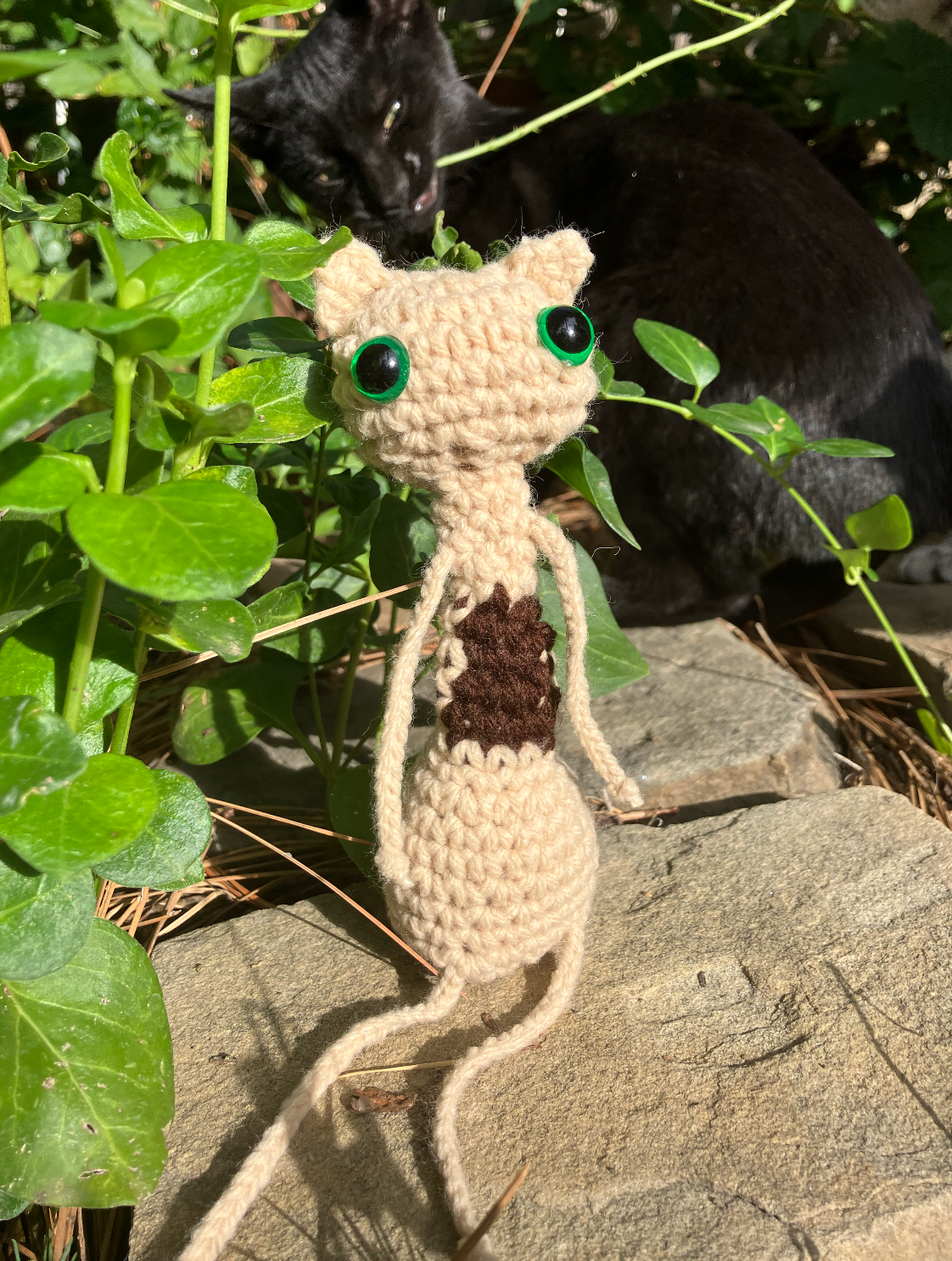 Noodle Cats