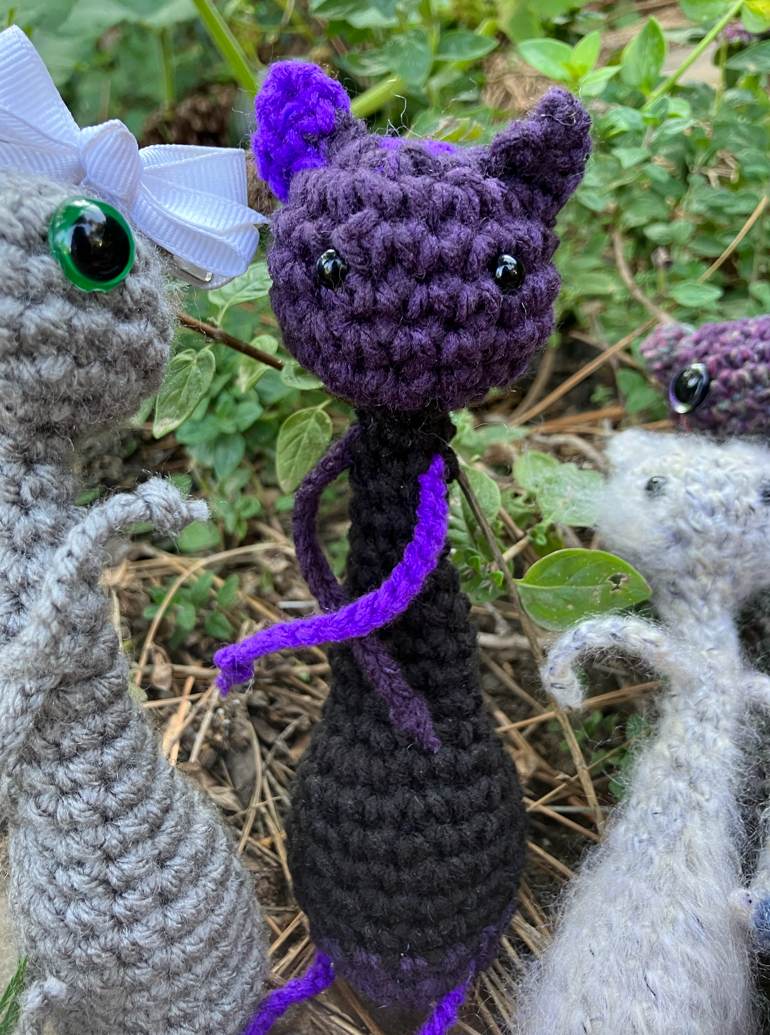 Noodle Cats